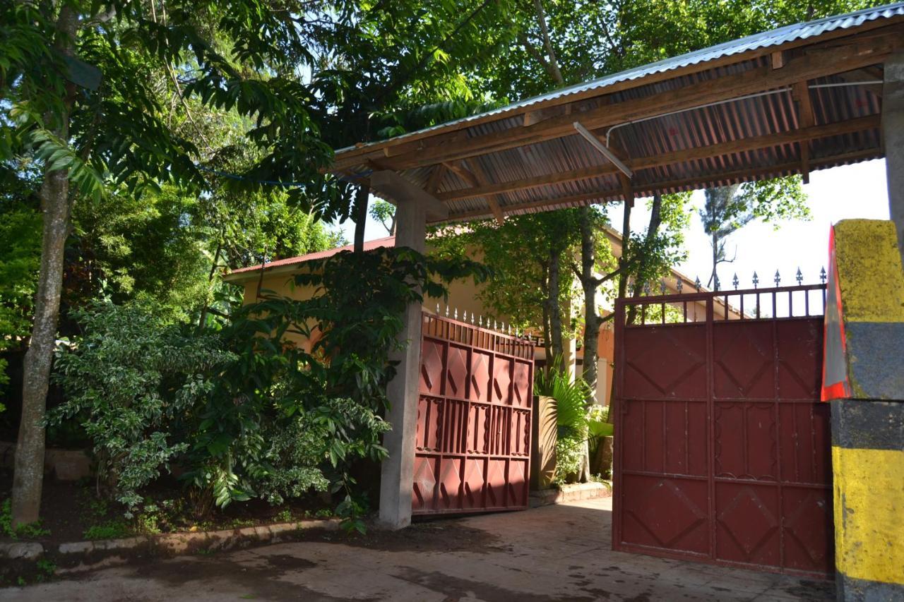 Serene Mountain Lodge Marangu Экстерьер фото