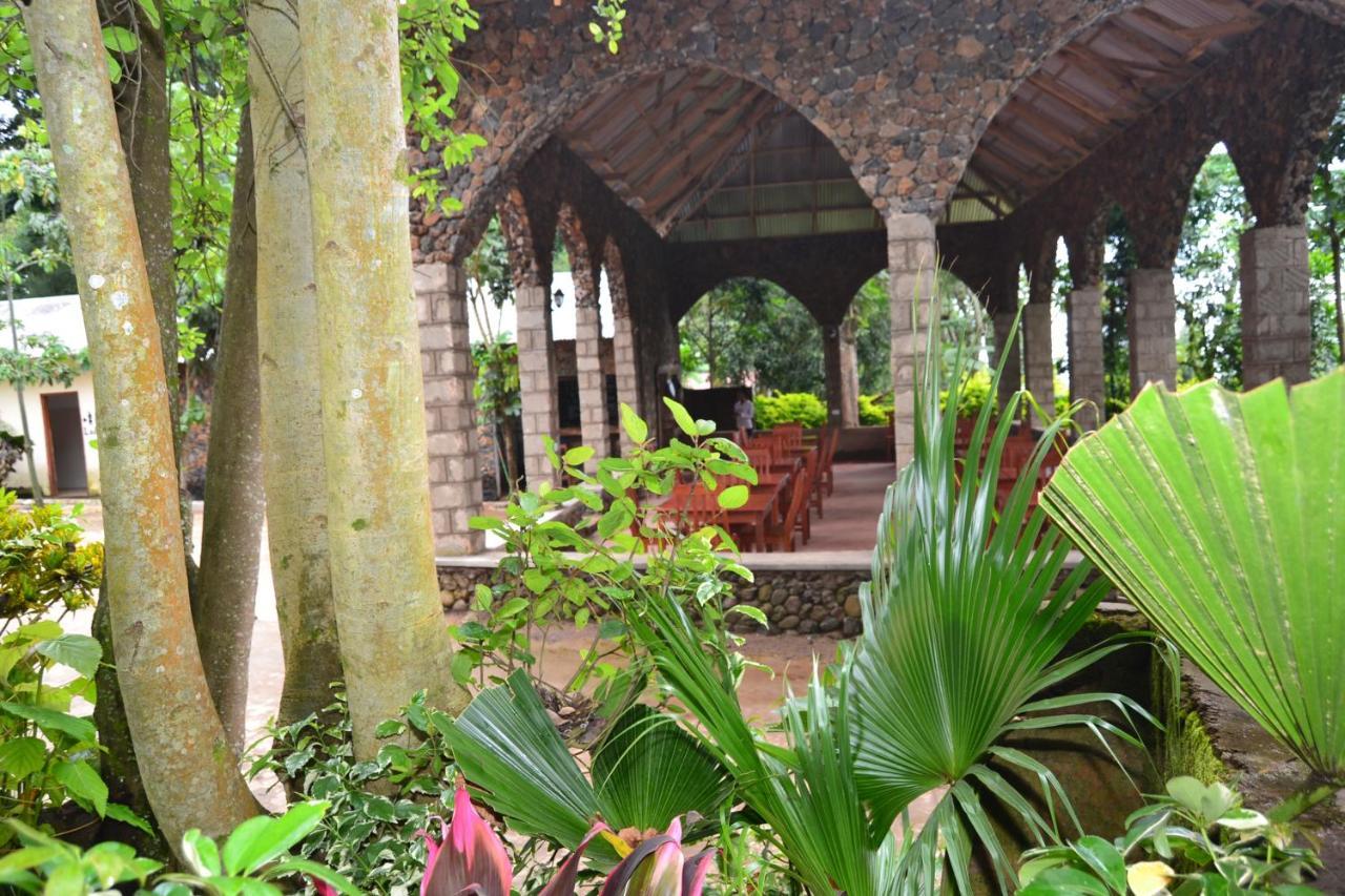 Serene Mountain Lodge Marangu Экстерьер фото