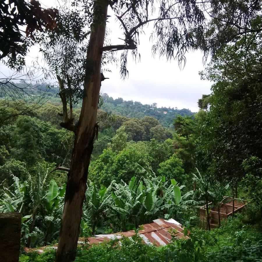 Serene Mountain Lodge Marangu Экстерьер фото